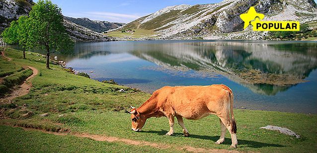 tour lagos de covadonga Tour Lagos de Covadonga desde Oviedo en grupos de máximo 8 personas