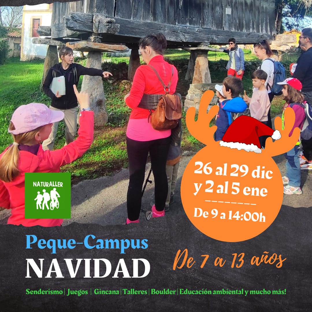 peque campus navidad en oviedo peque campus