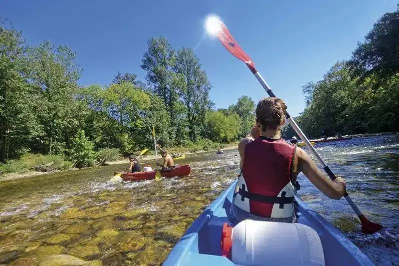 Personas haciendo kayak en un río rodeado de árboles.